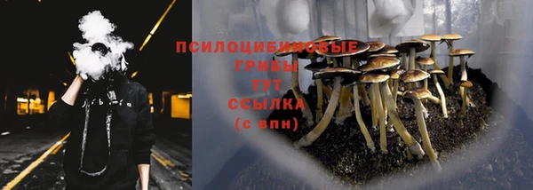 мдпв Надым