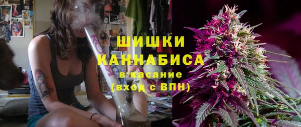 стафф Нефтегорск