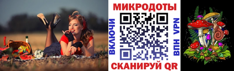 Галлюциногенные грибы Psilocybe Правдинск